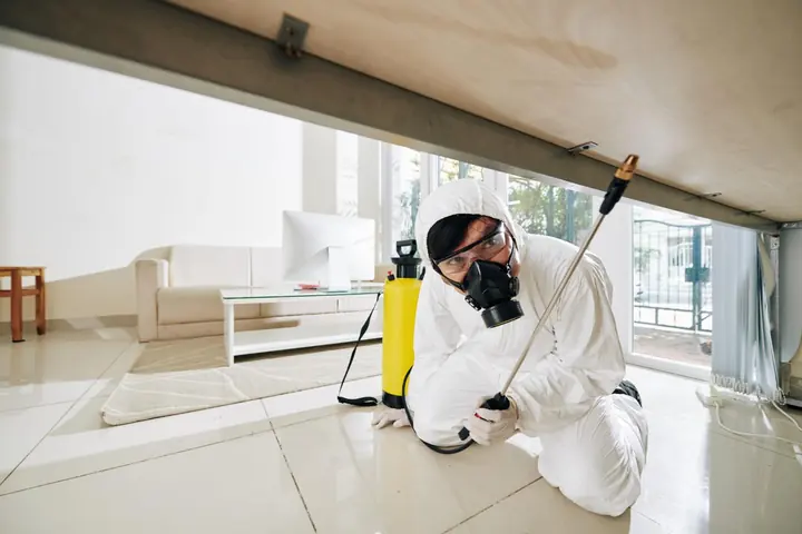 Roach Control pest-control service thumbnail