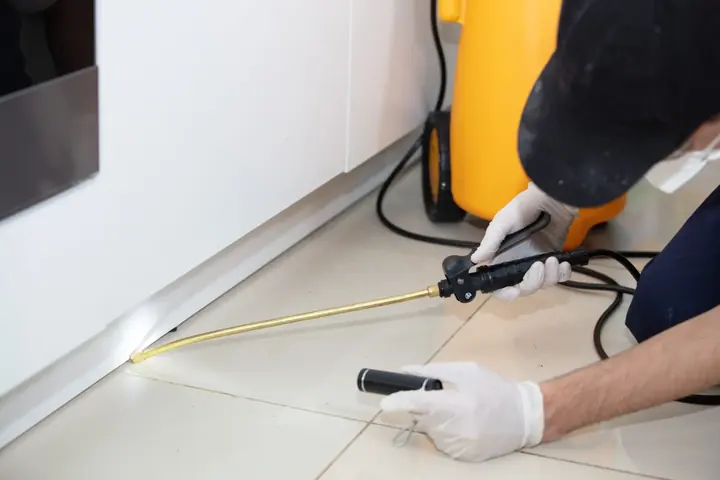 Termite Checks pest-control service thumbnail