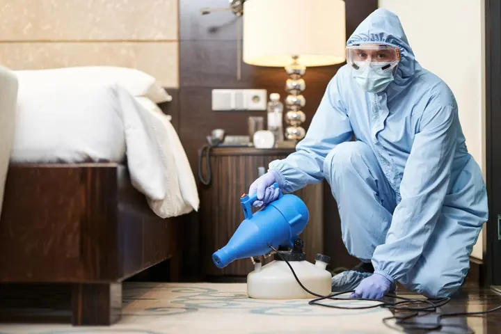 Flea Control pest-control service thumbnail