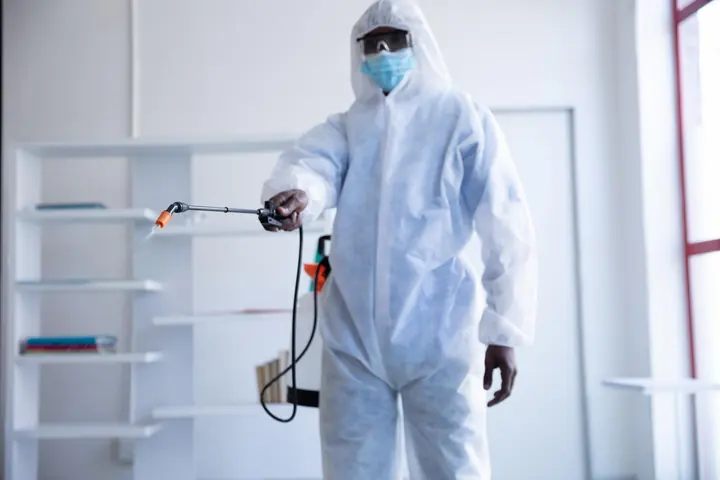 Bed Bug Support pest-control service thumbnail